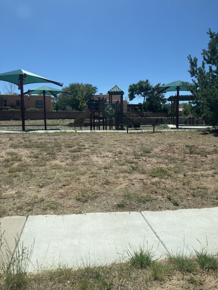 walking near me in Martin Luther King Jr. Park in summer