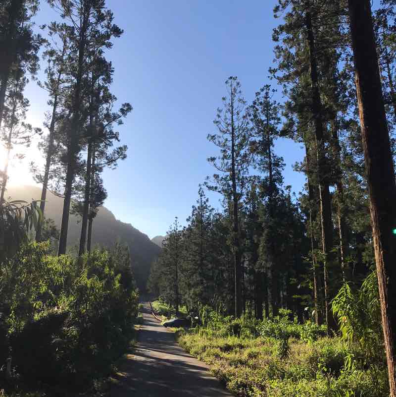 vincedefrancois post 1