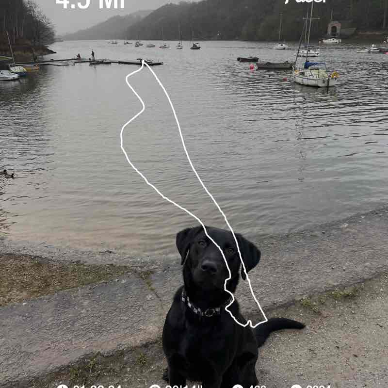 kayleighfrodsham1991 post 1