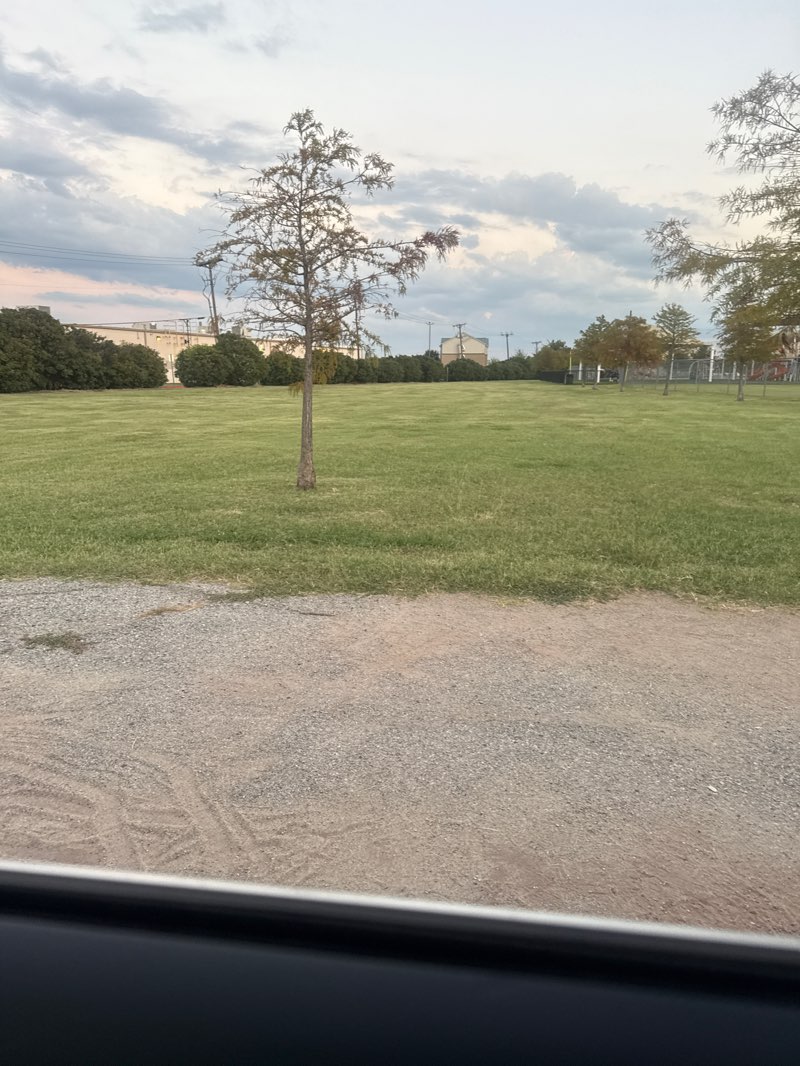 walking near me in Yellowjacket Park in autumn
