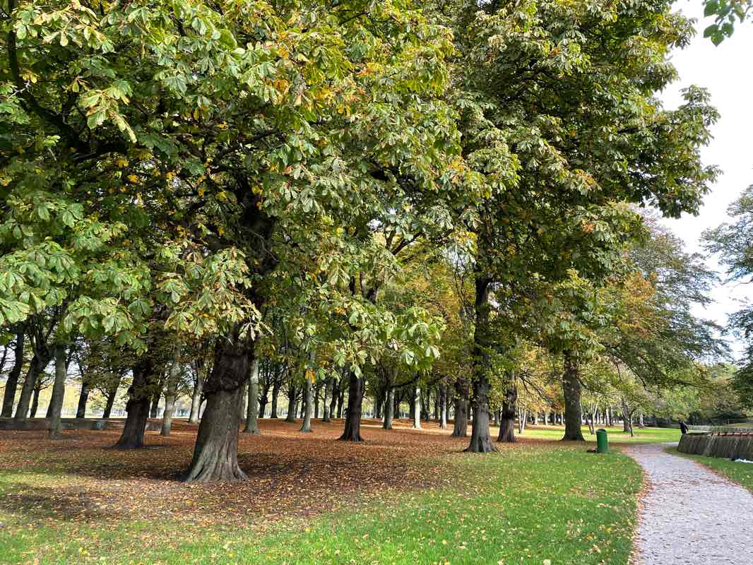 walking near me in Westbroekpark in winter