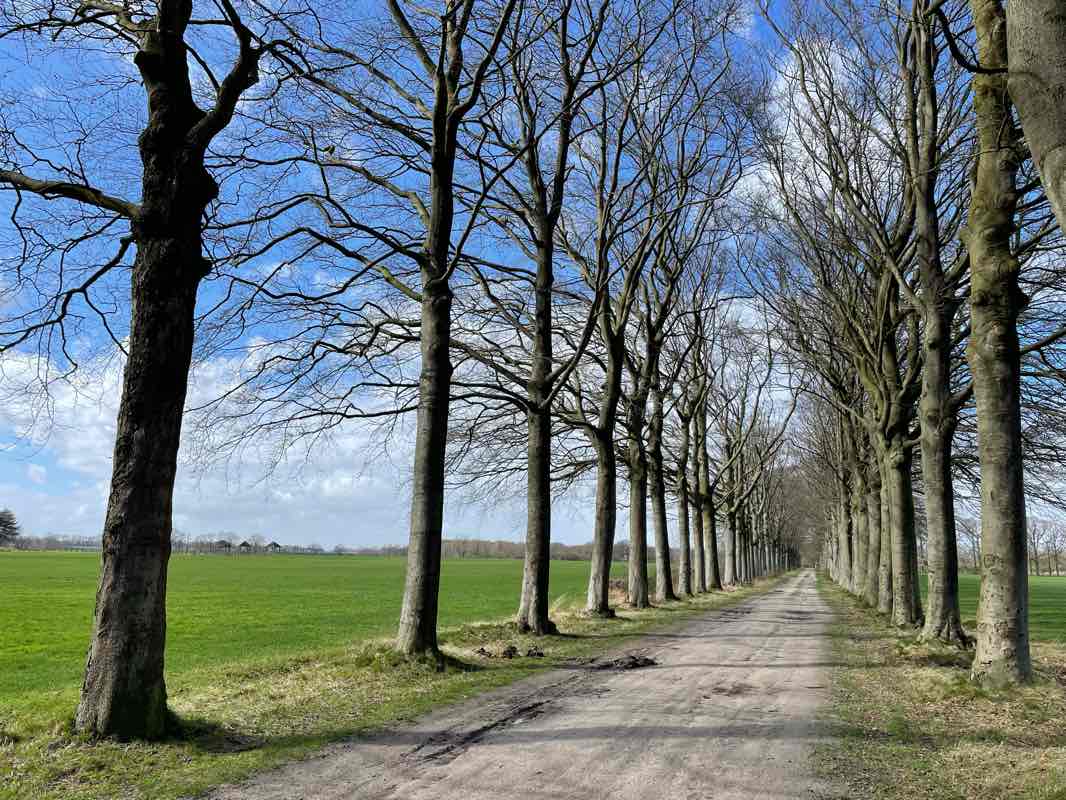 walking near me in Park Valkenberg in winter