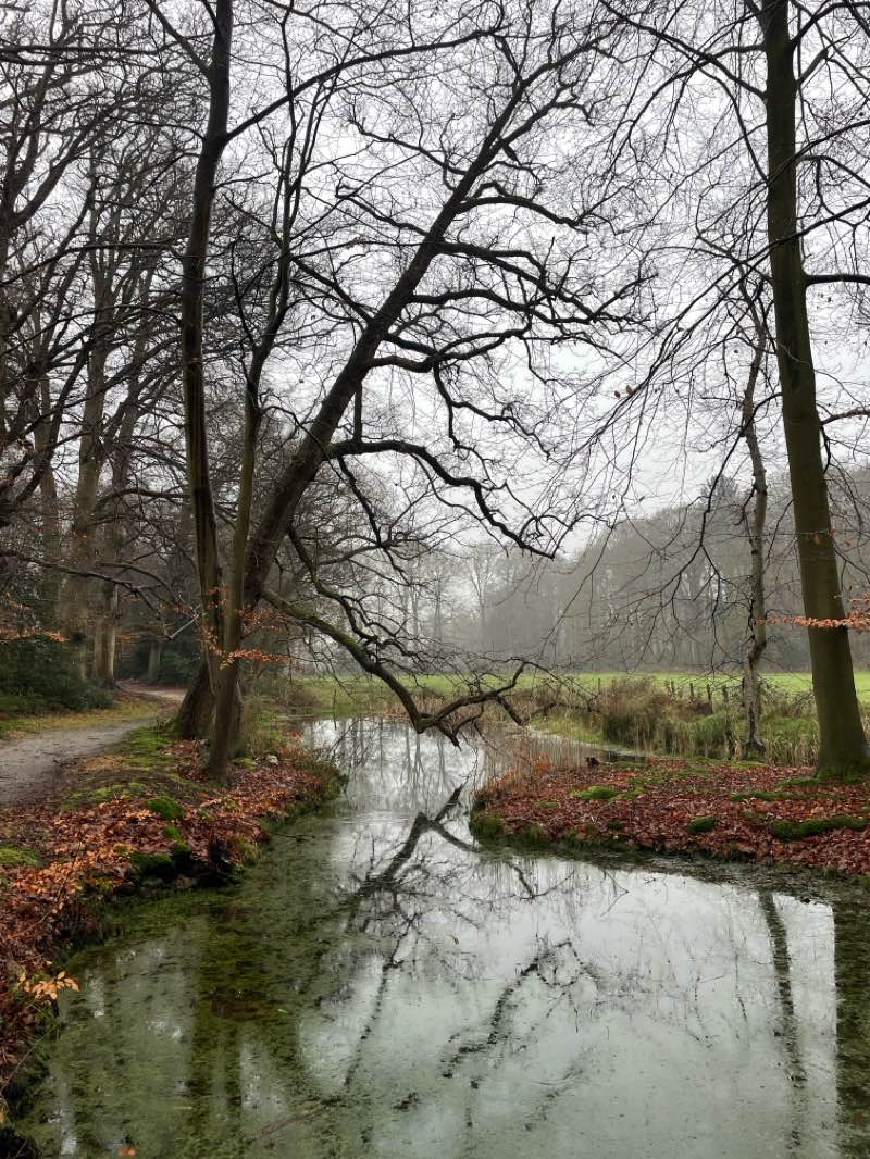 walking near me in Vijverpark in winter