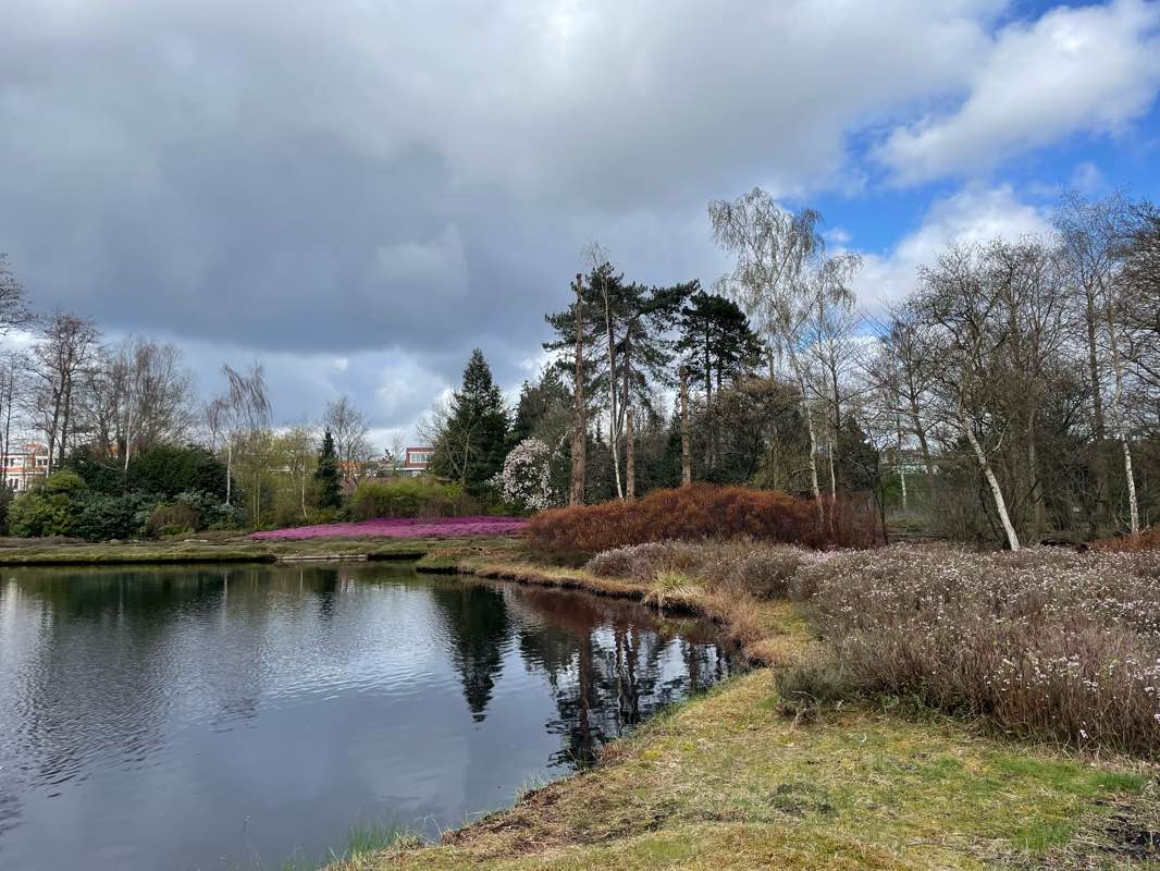 walking near me in Kersenbloesempark in winter