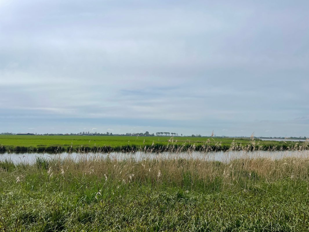 walking near me in Hemmeland in winter