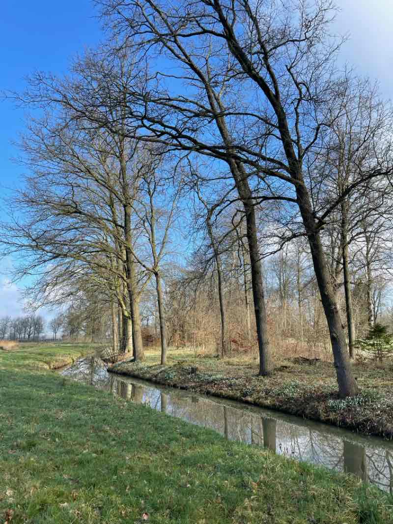 walking near me in Kasteel de Haar in spring