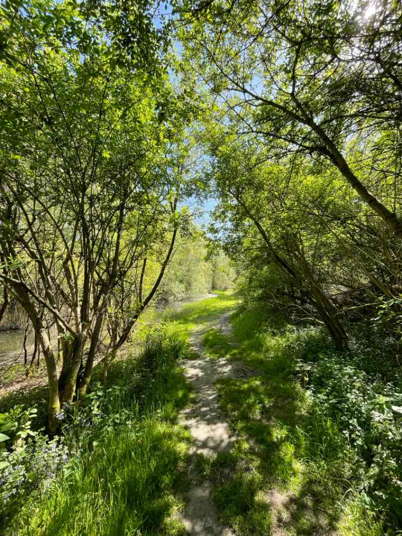 walking near me in Vondelpark in spring