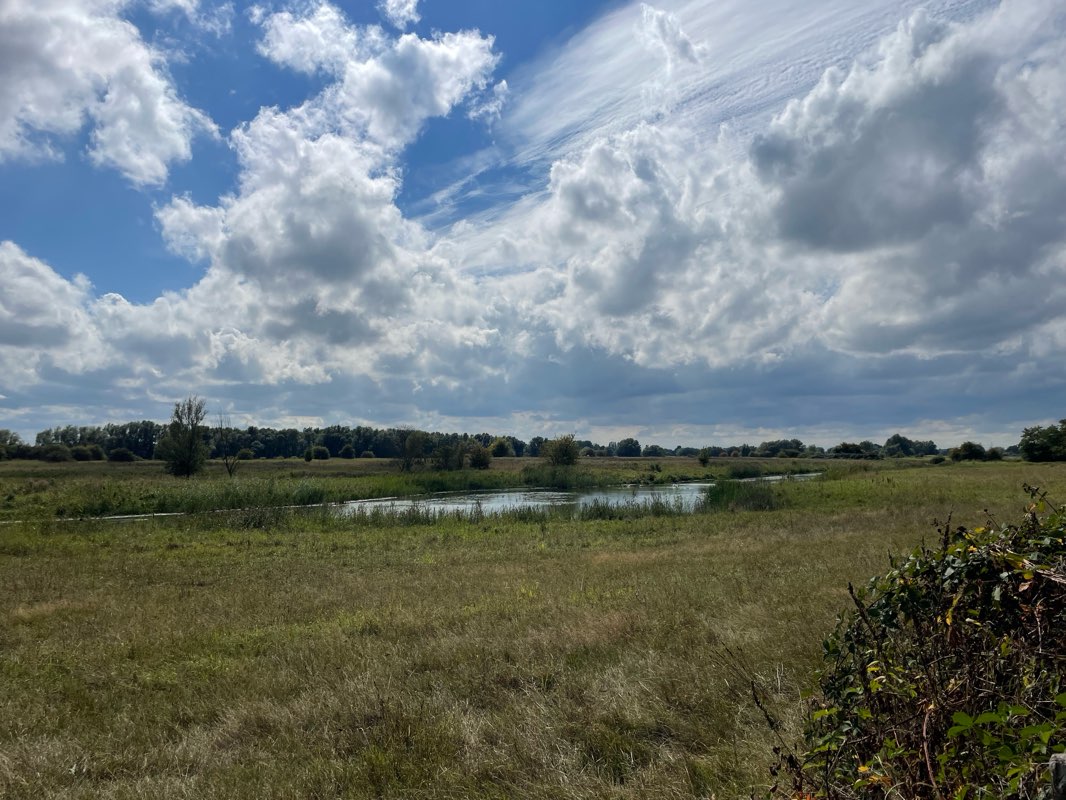 walking near me in Arboretum 'Belmonte' in autumn
