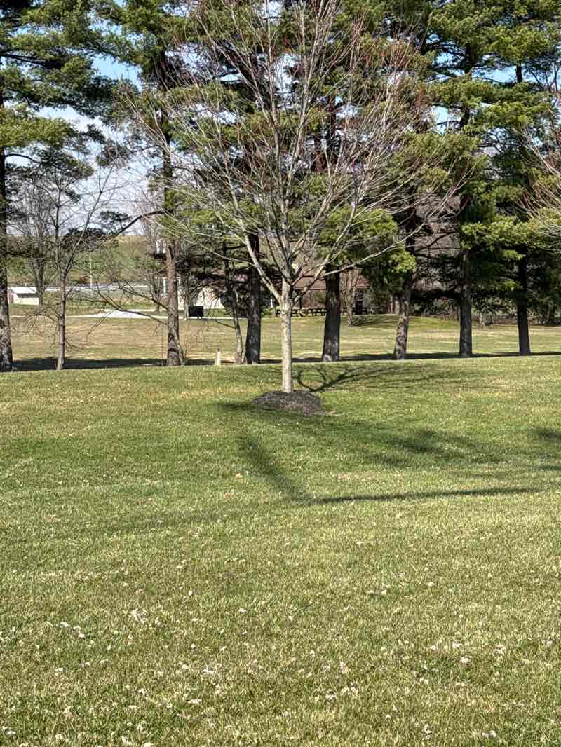 walking near me in North Mill Street Park in spring