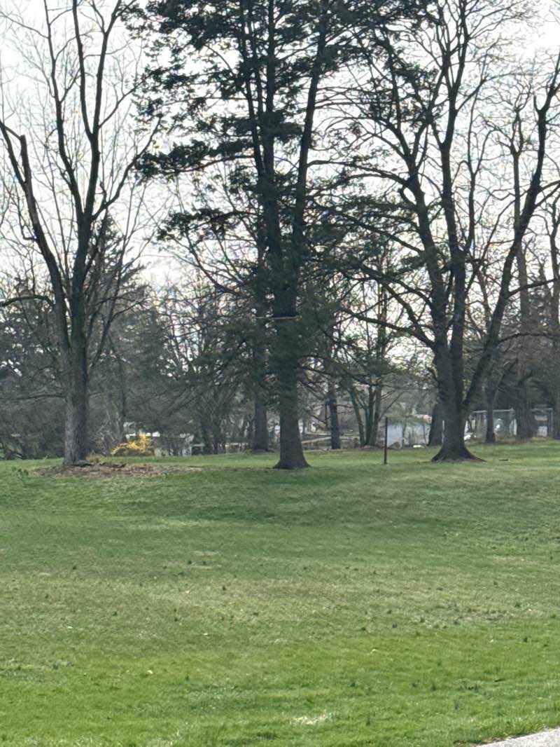walking near me in Jonestown Community Park in spring