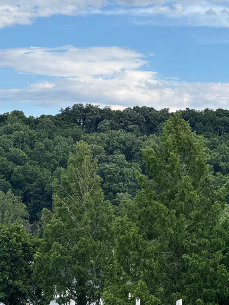 walking near me in Jonestown Community Park in summer