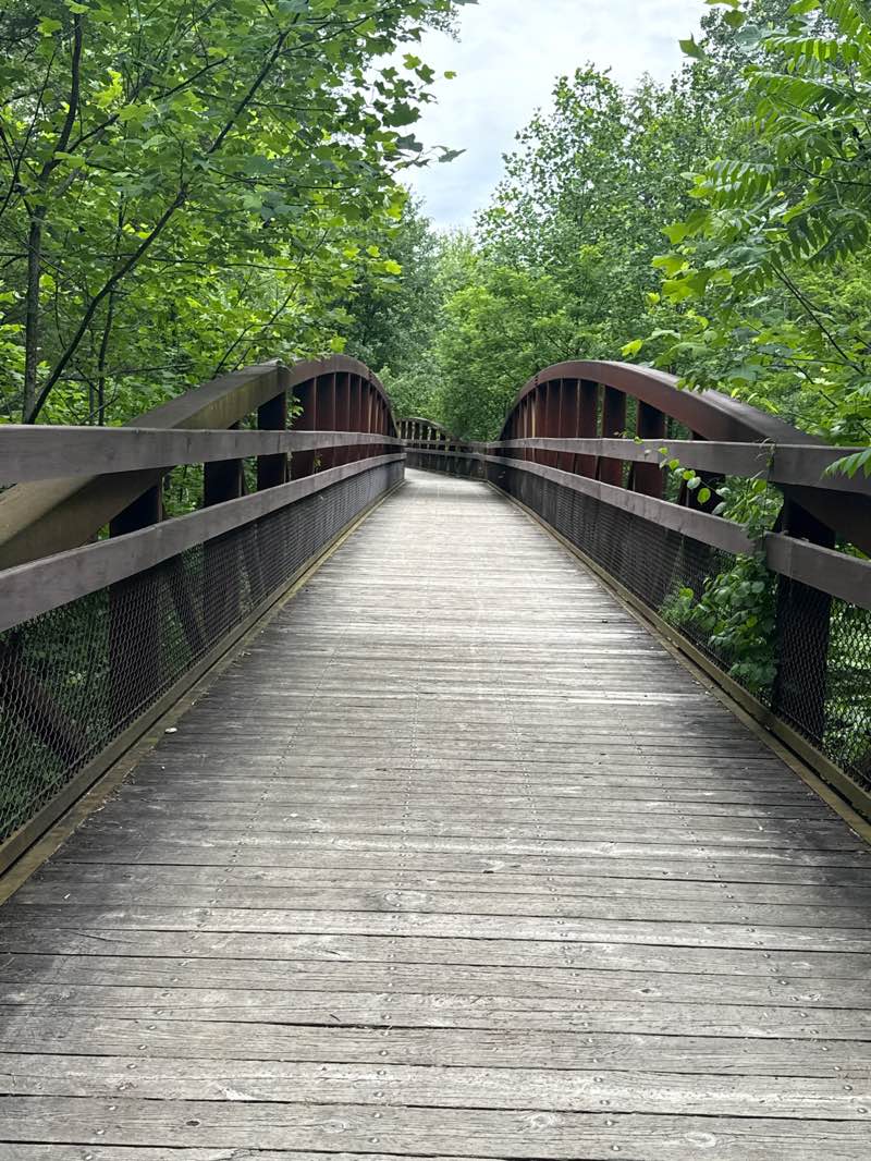walking near me in Swatara State Park in summer