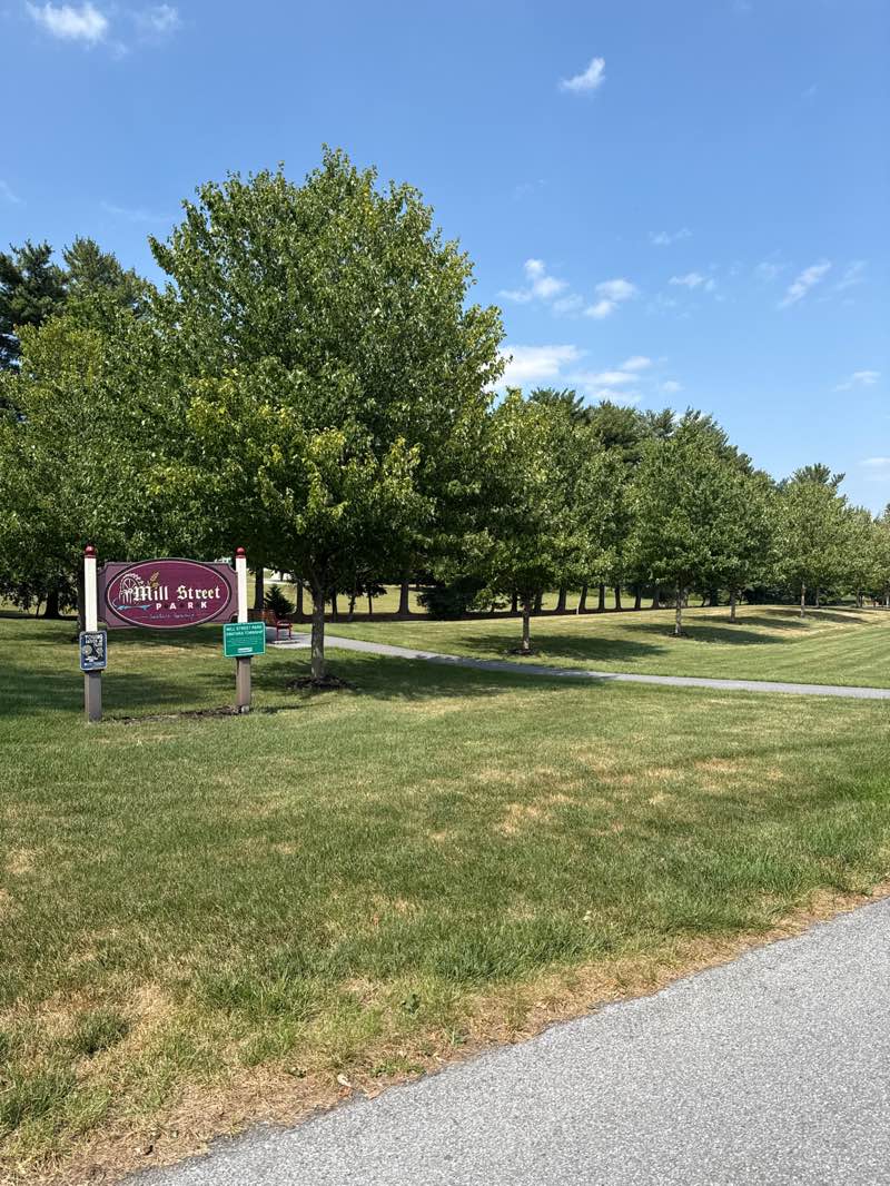 walking near me in North Mill Street Park in summer