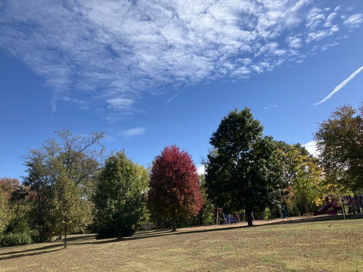 walking near me in Jefferson Park in autumn