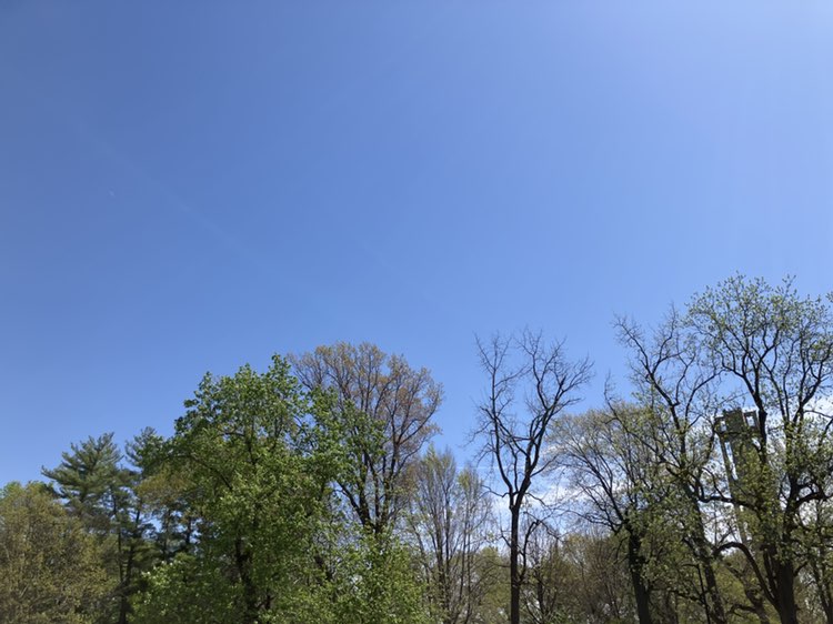 walking near me in Washington Park in spring