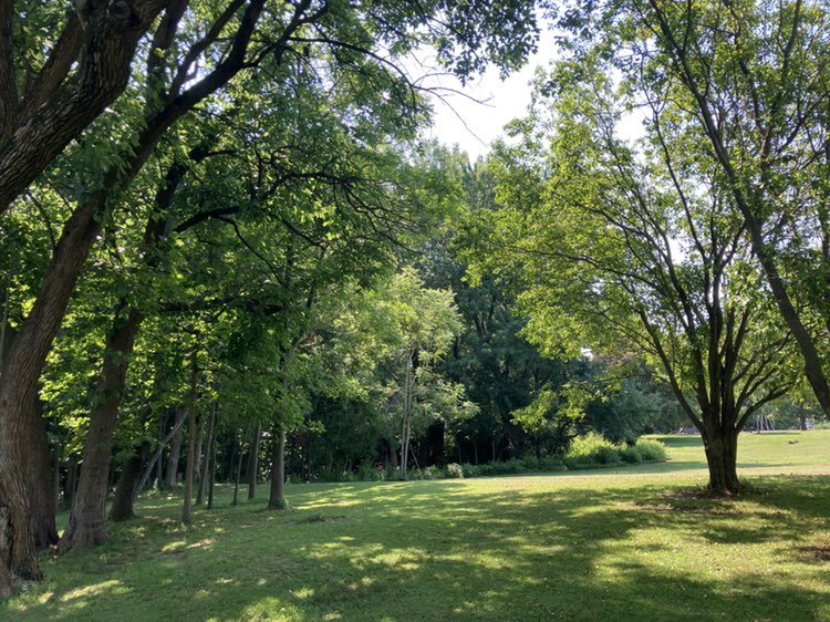 walking near me in Jefferson Park in summer
