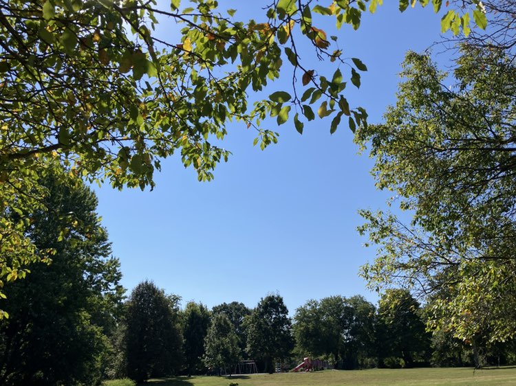 walking near me in Jefferson Park in autumn