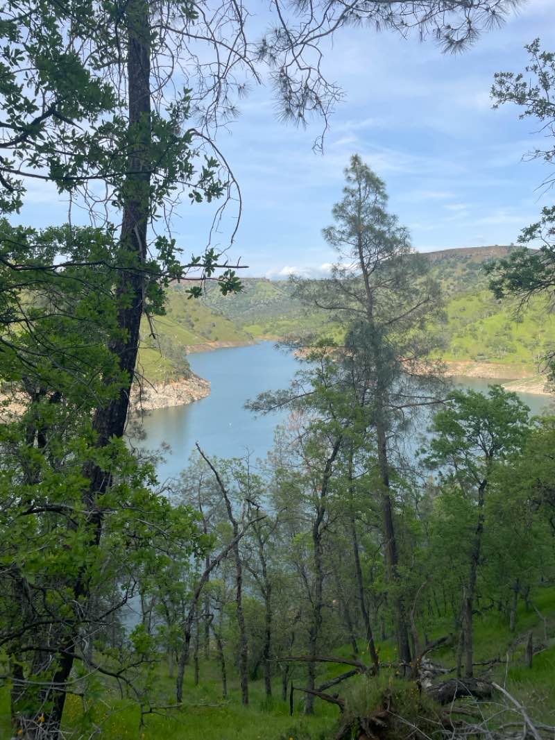 walking near me in Millerton Lake State Recreational Area in spring