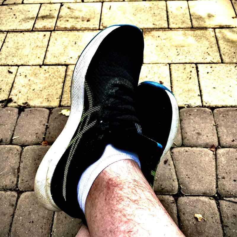 Веселые Бобры Чилли Вилли post image