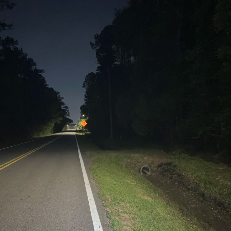 Night Time Walkers star post image