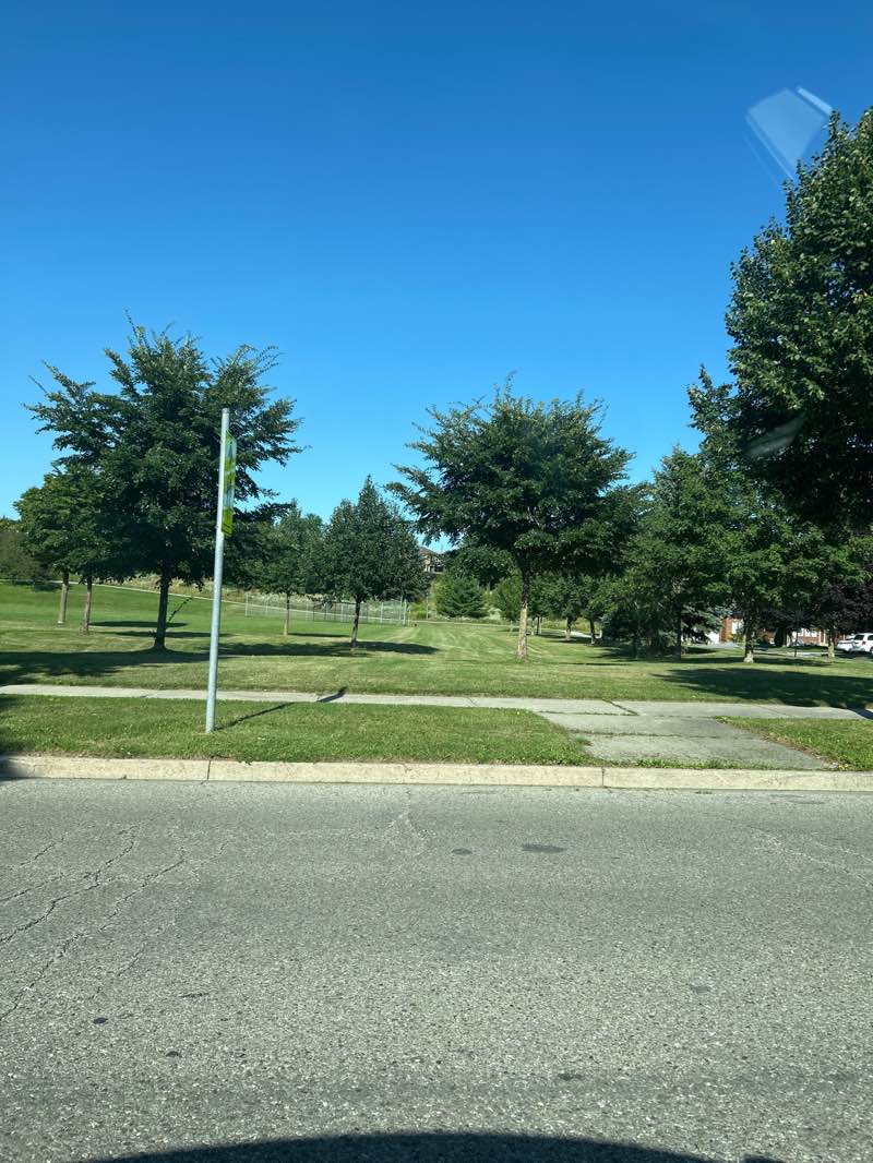 walking near me in St. Patrick Park in summer
