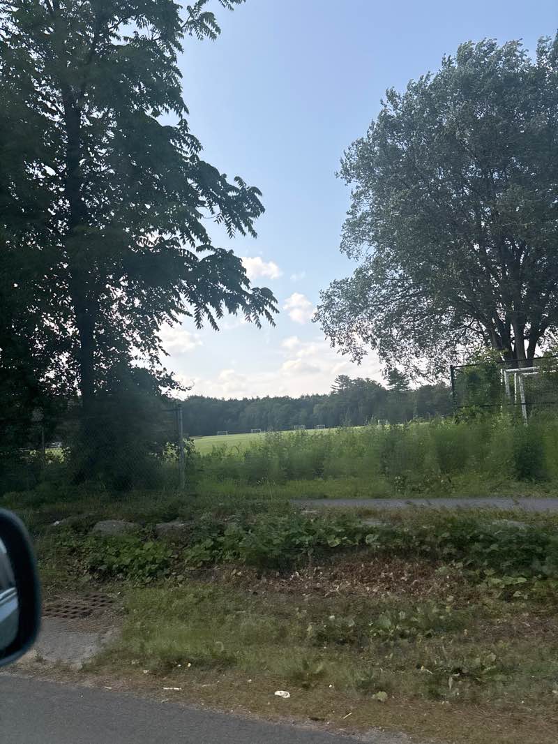 walking near me in Haskell Field in summer