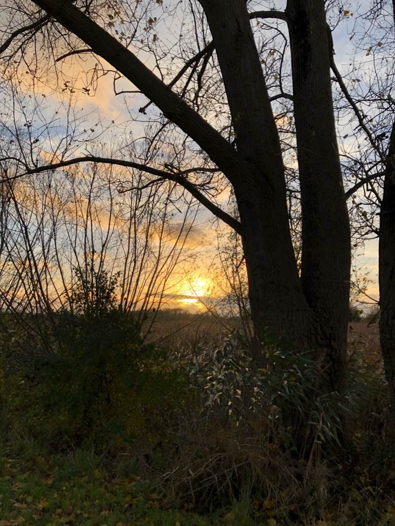 walking near me in Malpertuuspark in winter