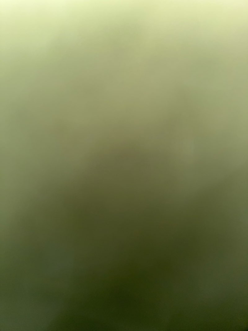 walking near me in Exercise Trail in autumn