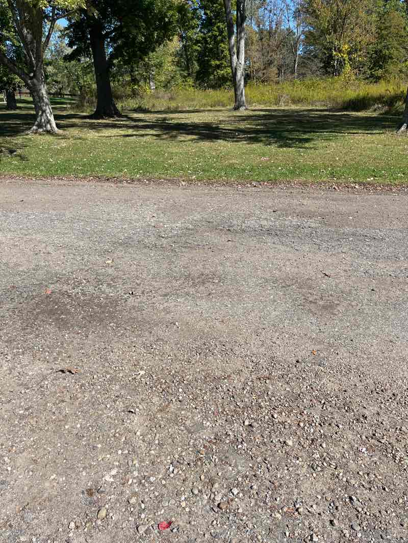 walking near me in Buffalo Ridge in autumn