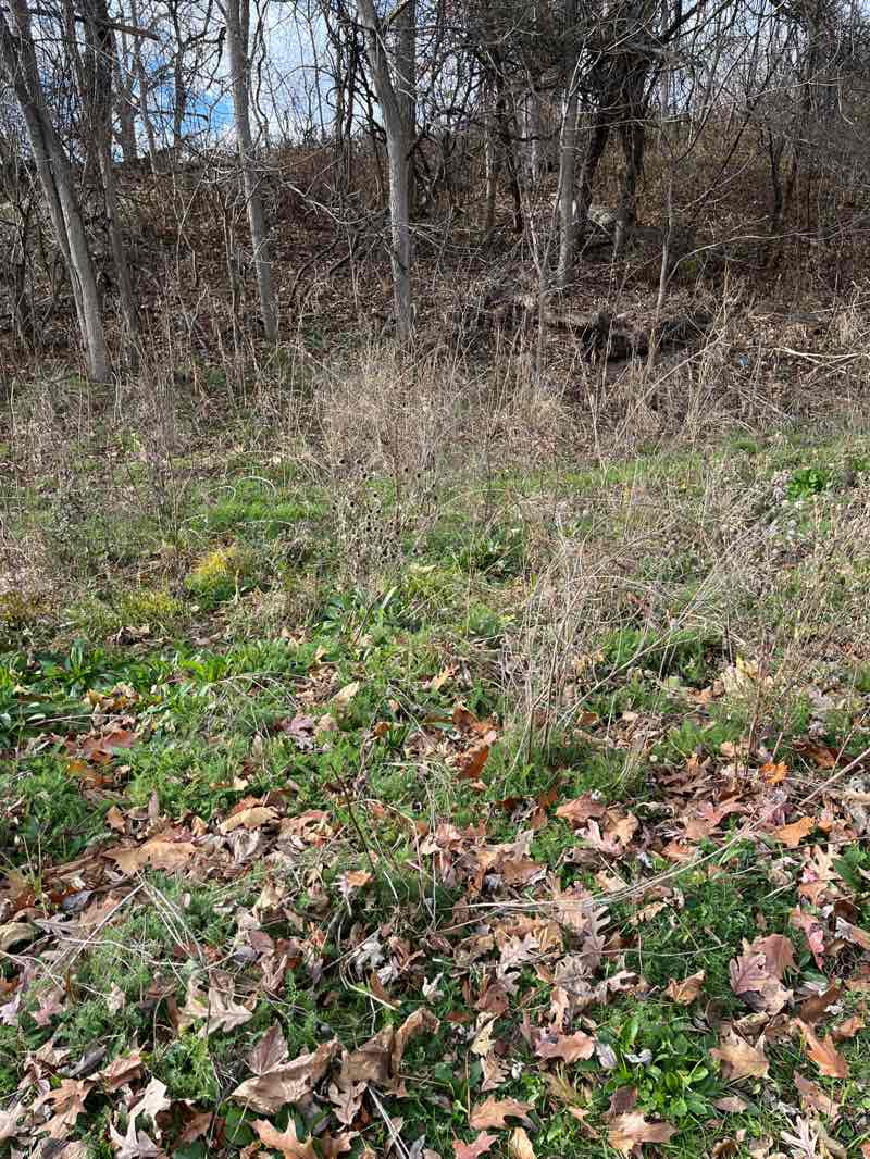 walking near me in Children's Playground in autumn