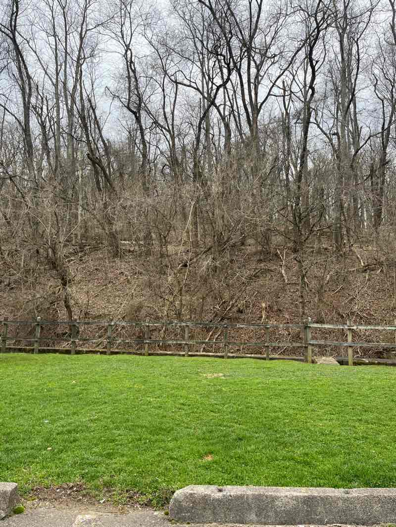 walking near me in Simmons Park in spring