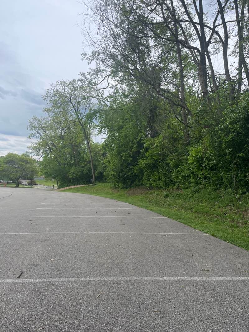 walking near me in Village Green Park in spring