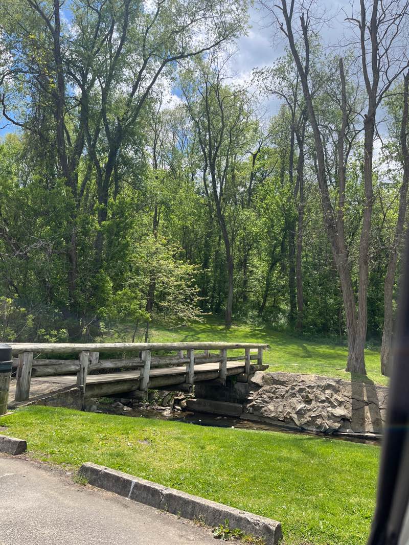 walking near me in Simmons Park in spring