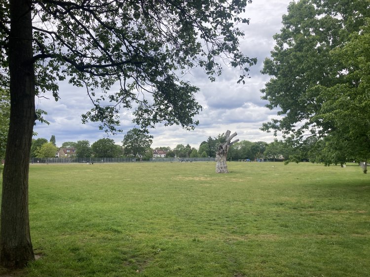walking near me in Addiscombe Recreation Ground in summer