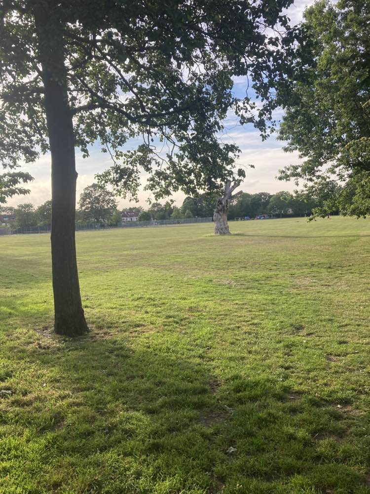 walking near me in Addiscombe Recreation Ground in summer