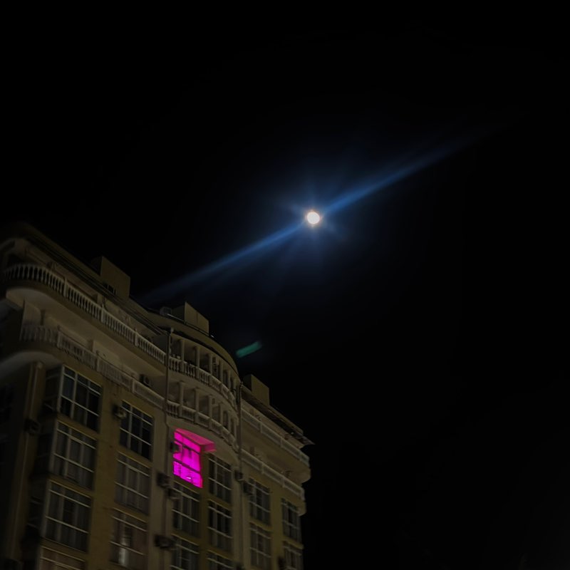 Гуляки-собаки EleNa (Сочи) post image