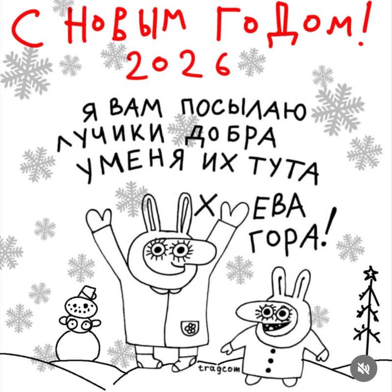 Гуляки-собаки EleNa (Сочи) post image