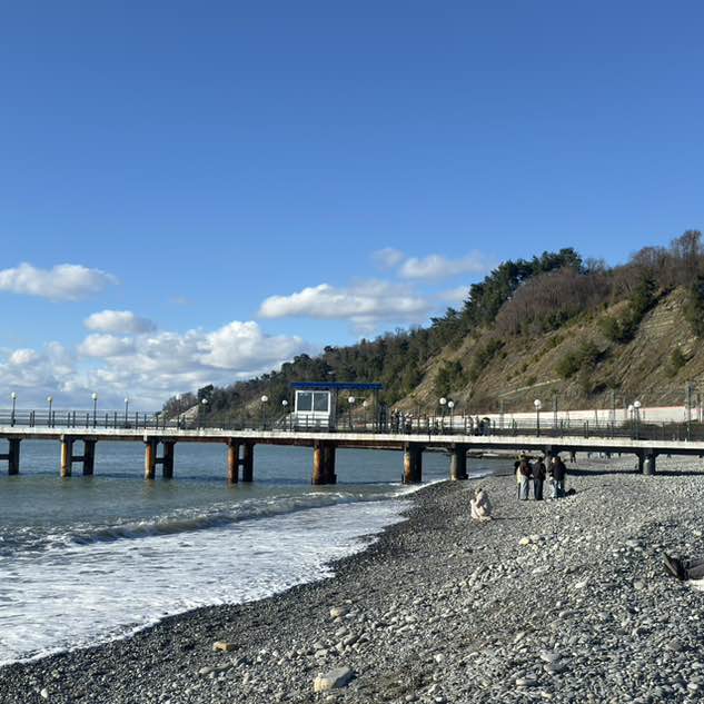 Гуляки-собаки EleNa (Сочи) post image