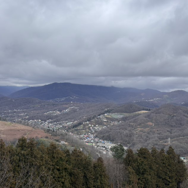 Гуляки-собаки EleNa (Сочи) post image