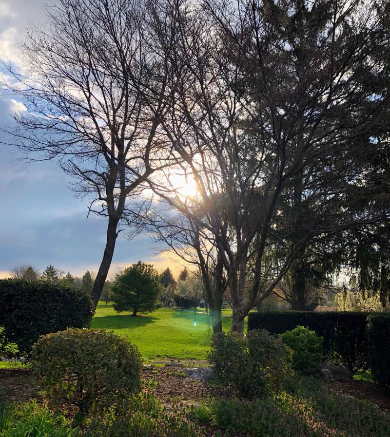 walking near me in Lions Lake Park in winter