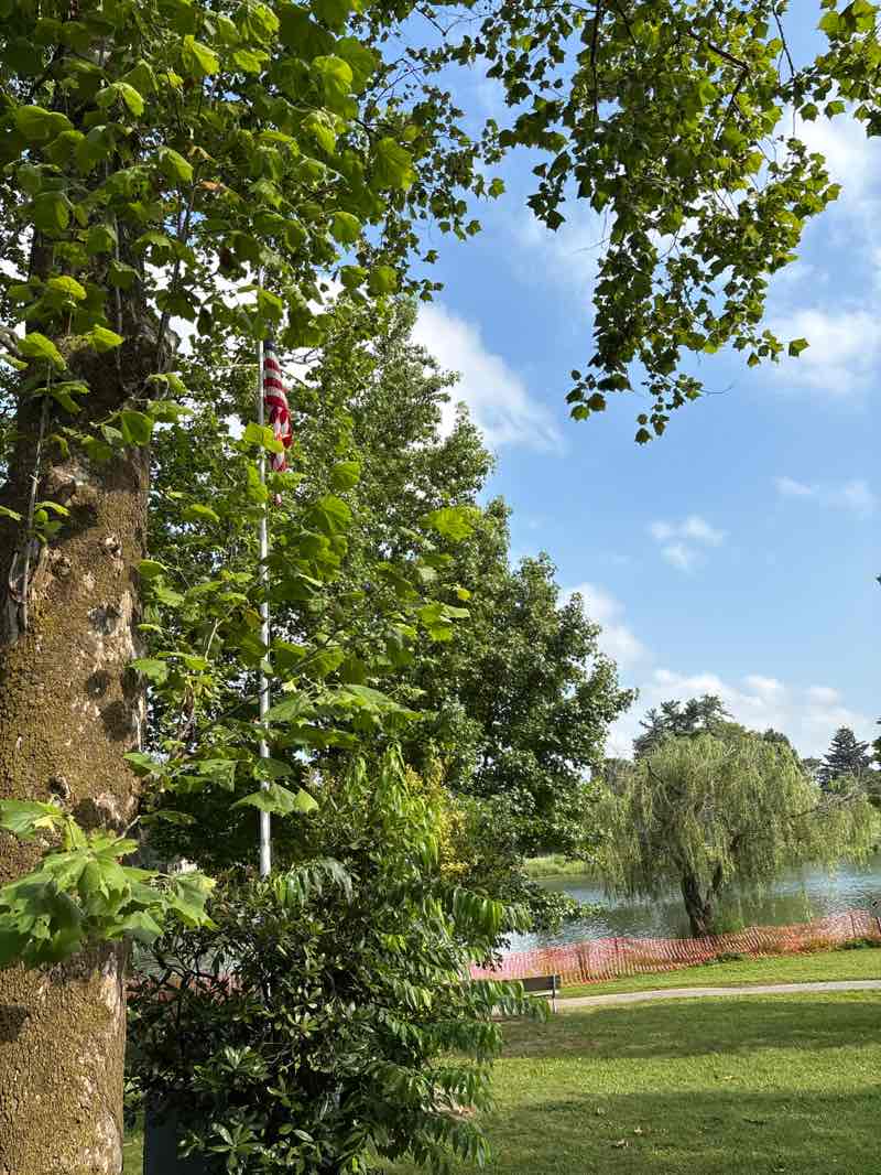 walking near me in Lions Lake Park in autumn