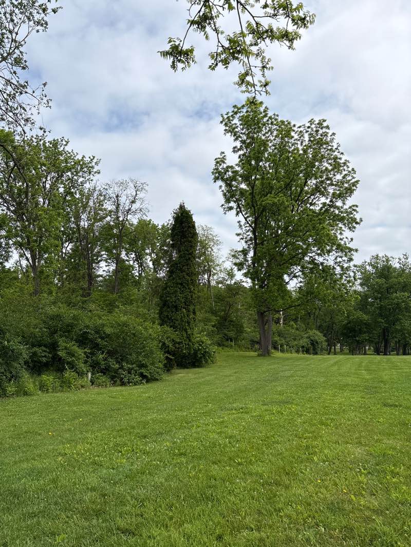 walking near me in South Hills Park in summer