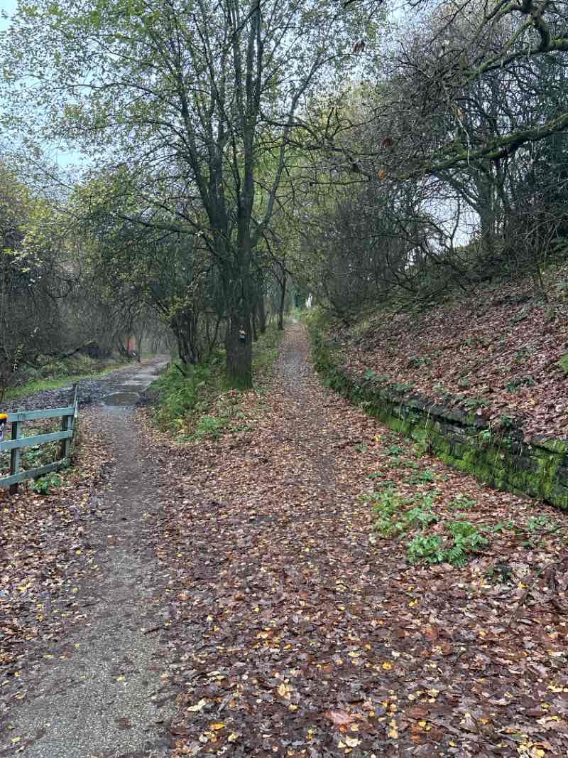 walking near me in Festival Gardens in autumn