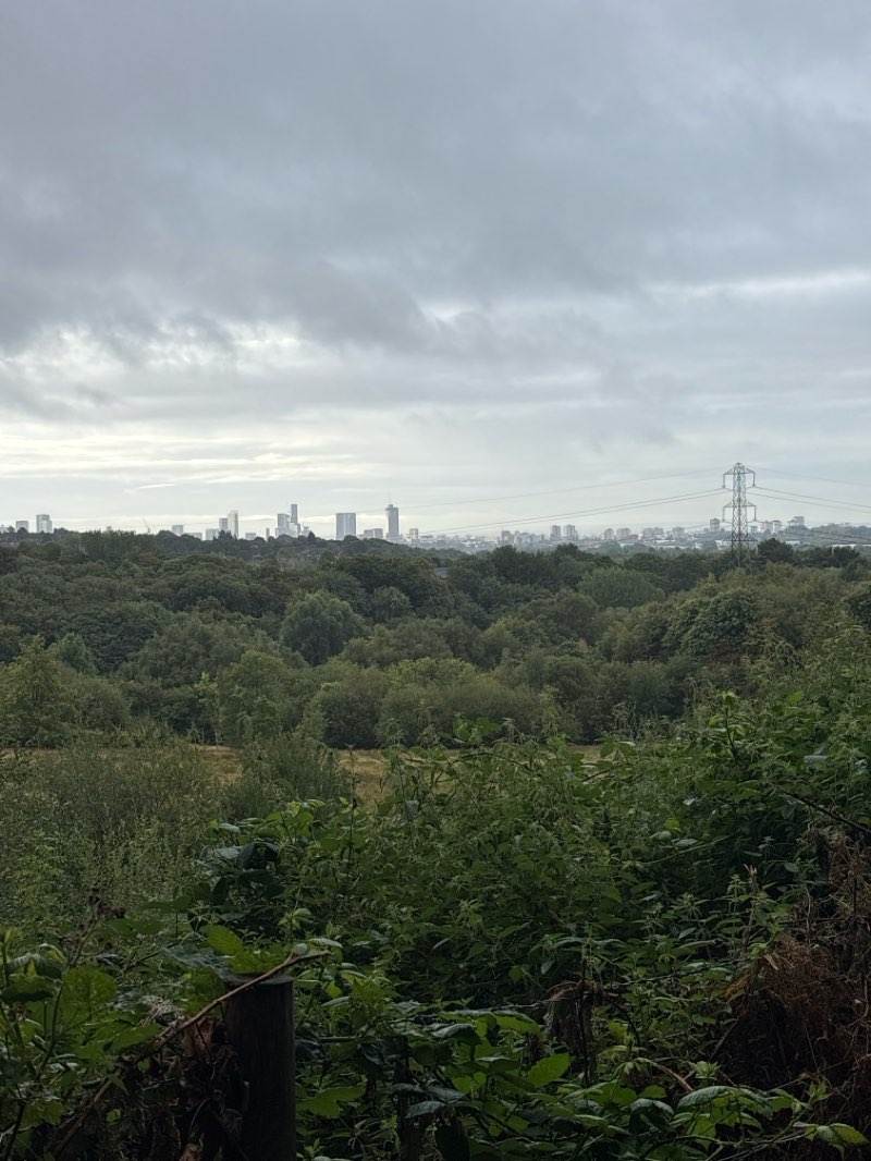 walking near me in Albert Park in autumn