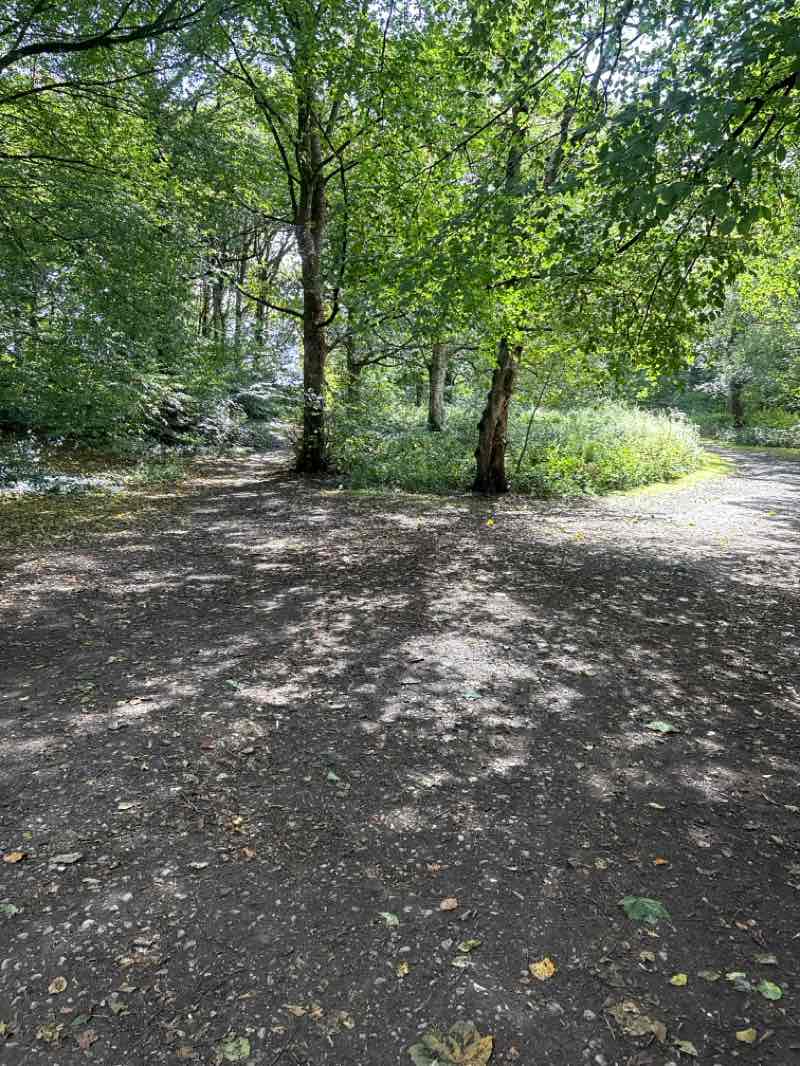 walking near me in Heaton Park in autumn