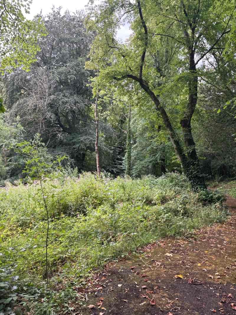 walking near me in St Mary's Park in summer