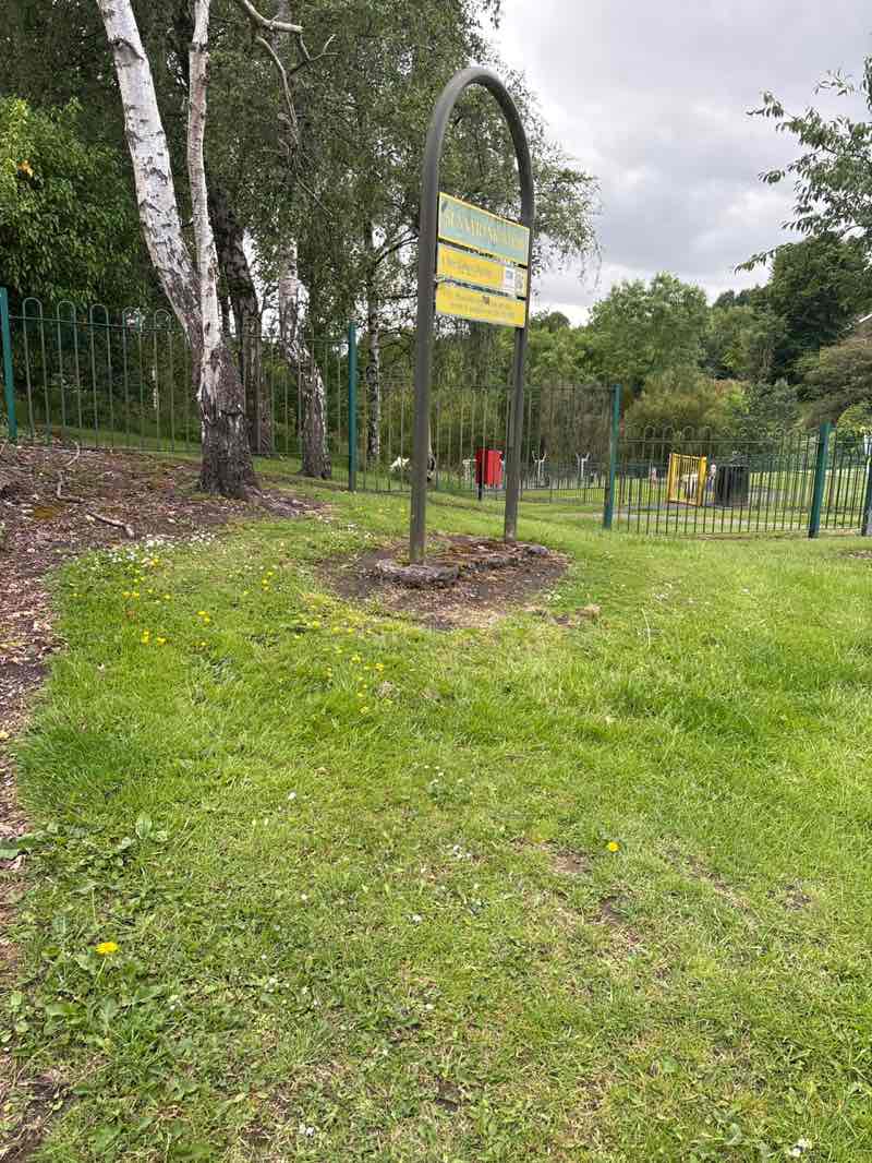 walking near me in Sunny Bank Wood in summer