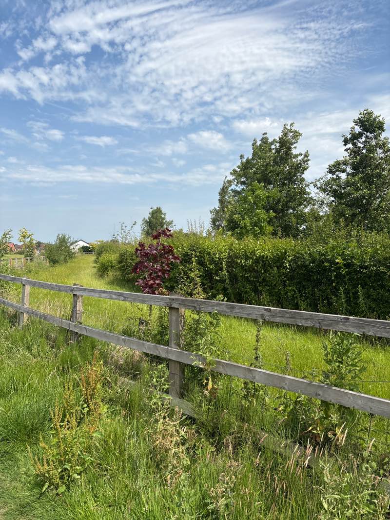 walking near me in Fusilers Memorial Meadow in summer