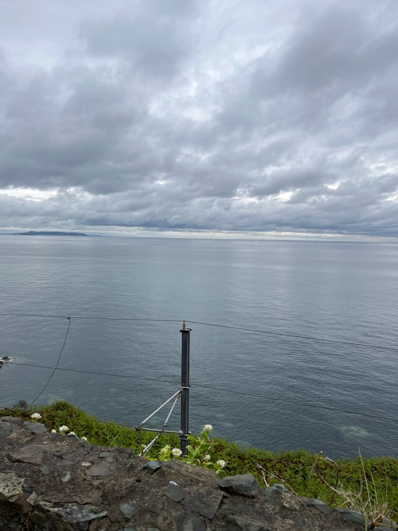 walking near me in Seafront Park in summer