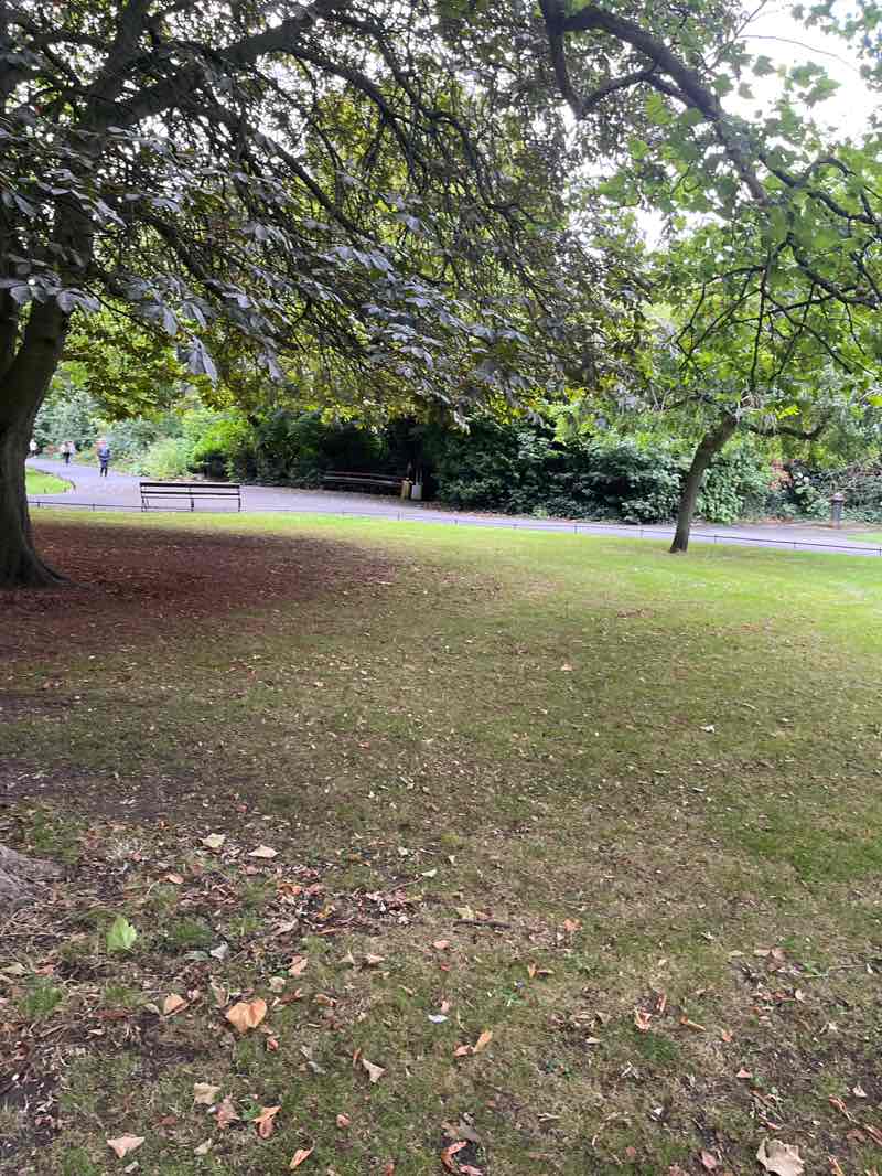 walking near me in St Stephen's Green in autumn